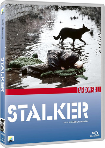 Stalker - stalker,